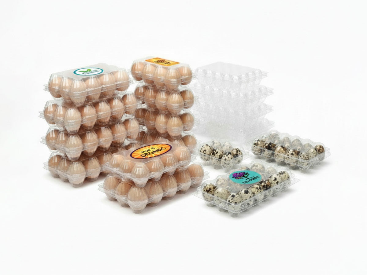 Folding Boxes