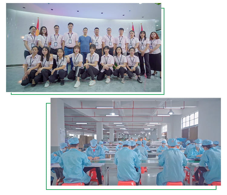 Company team