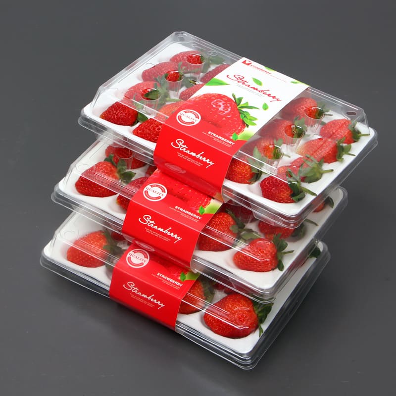 Clear PET Strawberry Packaging Box Set