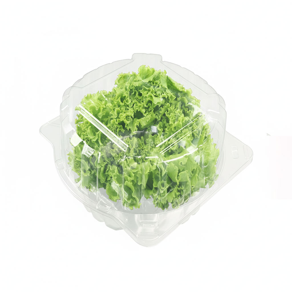 Clear Hinged PET Clamshell Packaging for Fresh Living Butterhead Lettuce